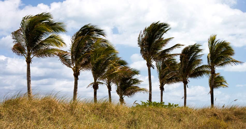 wind4 Wind Mitigation Home Inspection Services